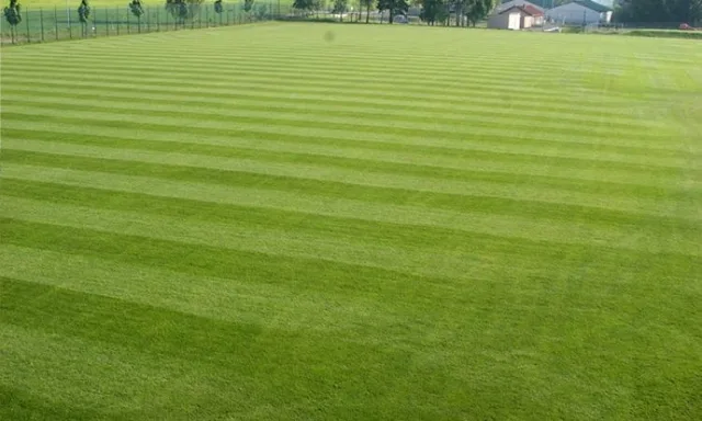 South Eifel sports school — sport — Germany