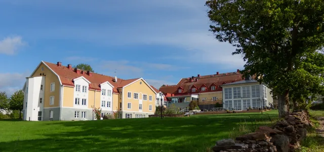 Fotbollsläger till Öland — sport — Sweden
